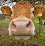 �����-������ ���������� �������� ������� � ��������� �����